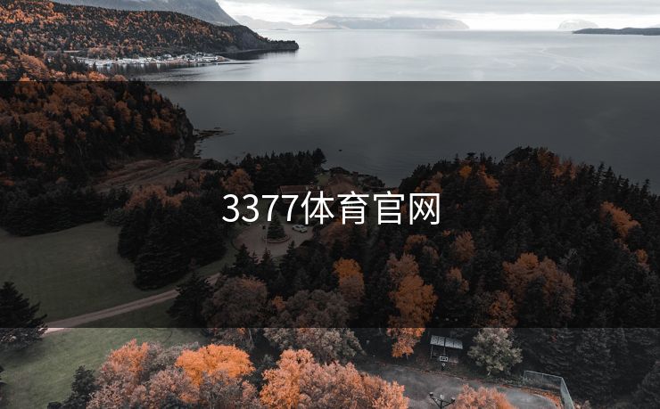 3377体育官网