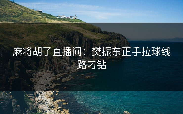 麻将胡了直播间：樊振东正手拉球线路刁钻