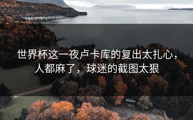 世界杯这一夜卢卡库的复出太扎心，人都麻了，球迷的截图太狠